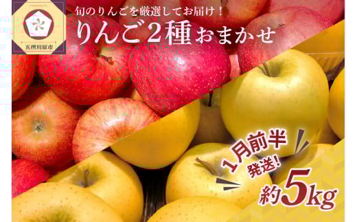 【2026年1月前半発送】 りんご 青森産 約5kg 品種おまかせ2種以上 贈答用 特選~特秀