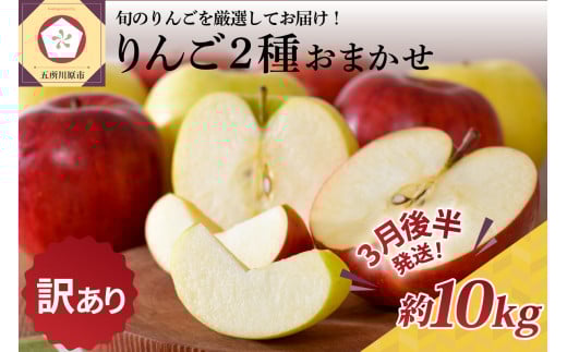 【2026年3月後半発送】 【訳あり】 りんご 約10kg 青森産 品種おまかせ2種以上