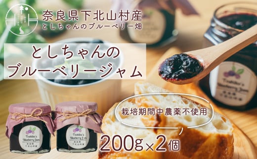 先行受付 2025年9月~発送 としちゃんのブルーベリージャム200gx2個 手摘み 下北山村産 栽培期間中農薬不使用