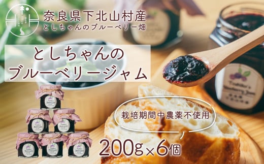 先行受付 2025年9月~発送 としちゃんのブルーベリージャム200gx6個 手摘み 下北山村産 栽培期間中農薬不使用