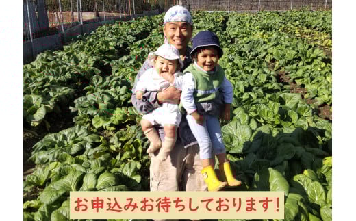 【自然栽培】大和の伝統野菜 下北春まな1kg