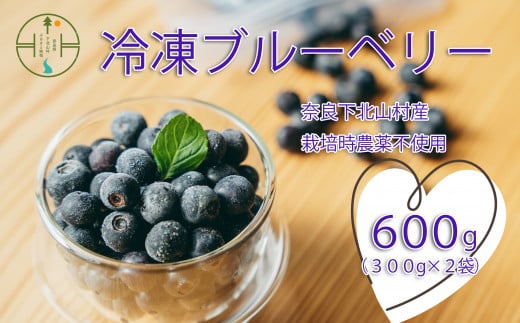 8月上旬～順次発送　栽培期間中農薬不使用 としちゃんのブルーベリー 300gx2 手摘み 下北山村産