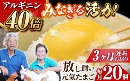 【全3回定期便】 アルギニン 元気たまご 20個 自然栽培 【浅田峠自然塾】 [EA02] 卵 たまご 鶏卵 玉子 卵かけご飯 たまごかけご飯 目玉焼き 平飼い