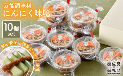 【安心安全国産にんにく使用！脅威のリピート率】万能調味料 にんにく味噌10個セット【野下上絵】 [LE04]