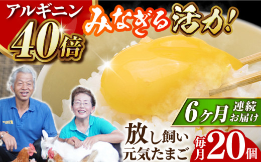 【全6回定期便】【栄養満点！】アルギニン元気たまご 20個×6回お届け 定期便 （月1回） 自然栽培 たまご 卵 【浅田峠自然塾】 [EA16]