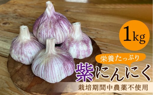 香り高い!栽培期間中農薬不使用!紫にんにく 1kg 野菜 薬味 ニンニク [浅田峠自然塾] [EA17]