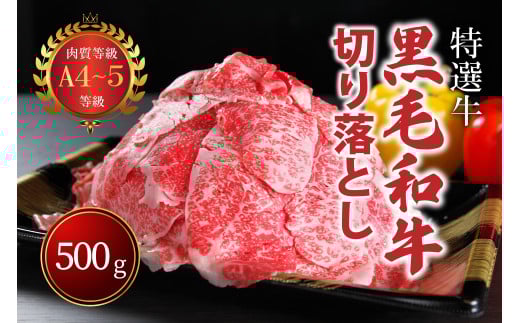 国産!! A4〜A5ランク黒毛和牛切り落とし500g(1パック)