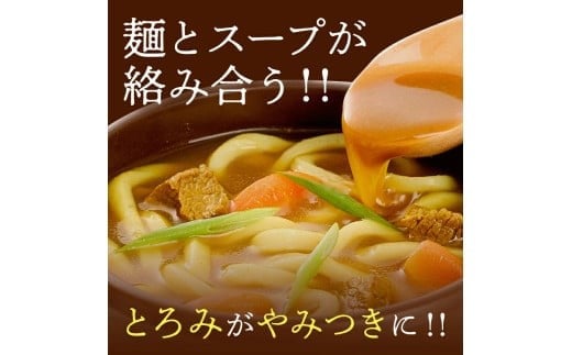 讃岐カレーうどんセット（24人前）