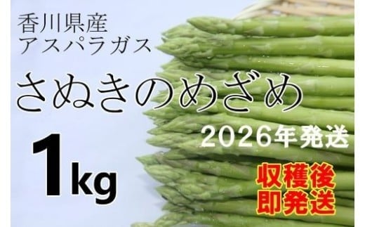 【先行予約受付開始！】2026年産　善通寺市産アスパラ｢さぬきのめざめ」１kg　（2026年3月頃から発送開始予定）