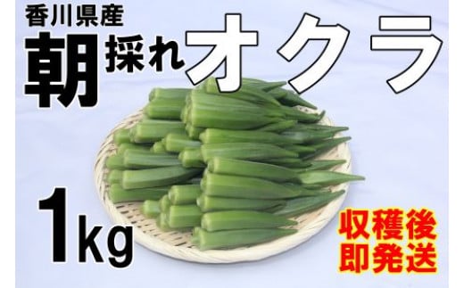 [2025年産] 善通寺市産オクラ 1kg