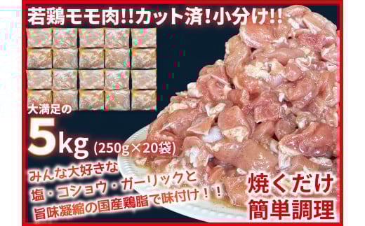 カット済!味付き!若鶏小分けもも切身 5kg (250g×20袋)