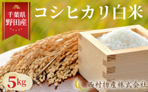 No.139 野田産コシヒカリ白米5kg / 米 5kg お米 おこめ こしひかり ご飯 ごはん 旨み 香り 千葉県