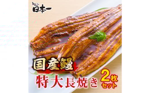 No.194 【日本一】国産うなぎ 特大長焼き2枚セット / 鰻 ウナギ かばやき 千葉県