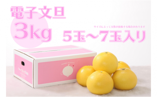 ハッピーフルーツ果樹園の電子文旦3kg贈答用