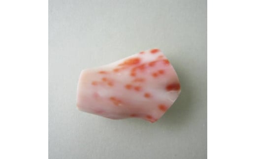 珊瑚職人館の珊瑚の和小物3