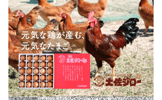 【年間定期便】裏庭の土佐ジロー有精卵 25個入りパック 毎月お届け定期便