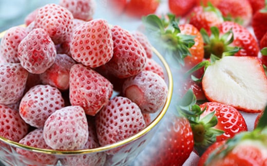 【2025年2月以降お届け分】フレッシュ冷凍イチゴ春摘み「あまえくぼ」500g×2袋