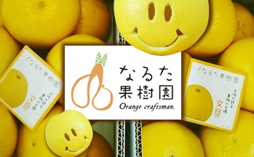 成田果樹園の土佐文旦10kg(大玉)家庭用