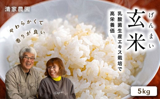 【令和7年産】酵素が3.9倍!「乳酸菌生産エキス栽培」玄米 5kg【特別栽培・農薬不使用】