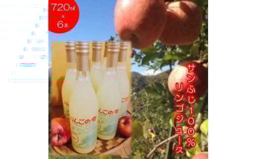 309＊サンふじりんご100%ジュース720ml 6本