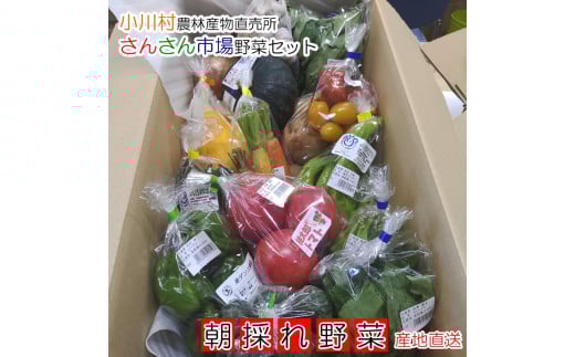 408*さんさん市場 やさい名人がチョイスする新鮮季節の野菜2回セット