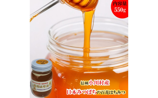 255＊日本みつばち　百花はちみつ550ｇ