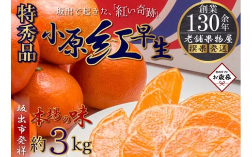 【お歳暮ギフト/熨斗対応】特秀品！小原紅早生みかん　約3kg【坂出発祥の真っ紅なお蜜柑】