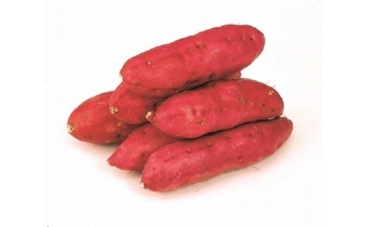 <2026年8月下旬以降発送・先行予約>ホクホク系さつまいも「坂出金時いも」約5kg×2箱 2L~Mサイズ