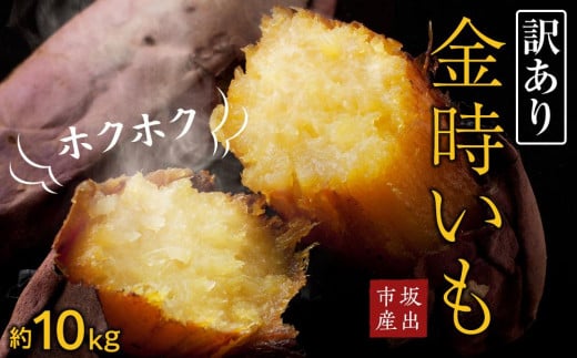 <2026年8月下旬以降発送・先行予約>【訳あり】坂出金時いも 約5kg×2箱 2L~Mサイズ