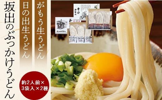[坂出のうどん]がもうと日の出のぶっかけうどんセット 約2人前×3袋入×2種 | うどん 讃岐うどん さぬきうどん 麺 生うどん 生麺 日の出製麺所 常温 詰め合わせ 食べ比べセット 麺類 ぶっかけうどん 香川県 坂出市 四国