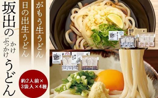 [坂出のうどん]がもうと日の出のうどんセット 約2人前×3袋入り×4種 | うどん 讃岐うどん さぬきうどん 麺 生うどん 生麺 細うどん 日の出製麺所 だし付 だし つゆ 常温 グルメ 麺類 香川県 坂出市 四国
