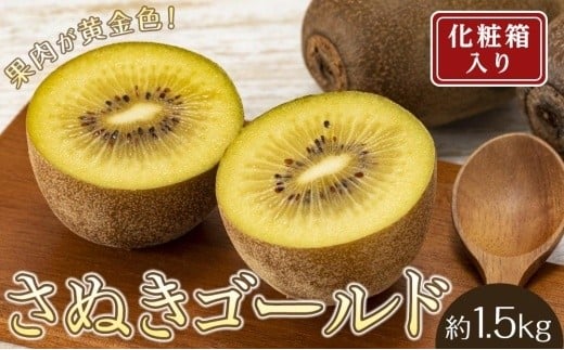 さぬきゴールドキウイ 約1.5kg（7～9玉入り）【化粧箱入り】｜フルーツ 果物 くだもの キュウイ 食品 さぬき 坂出市 人気 おすすめ 送料無料