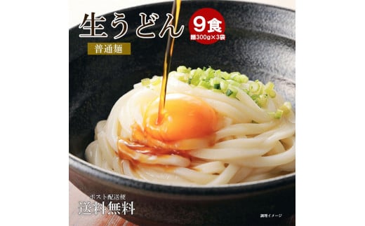 生うどん 麺のみ 9食(300g×3袋)普通麺|うどん 生麺