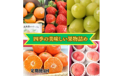 【定期便　4回コース】四季の美味しい果物詰め