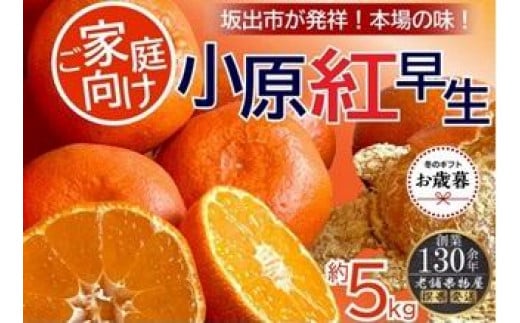 【お歳暮ギフト/熨斗対応】特秀品！小原紅早生みかん　約5kg【坂出発祥の真っ紅なお蜜柑】