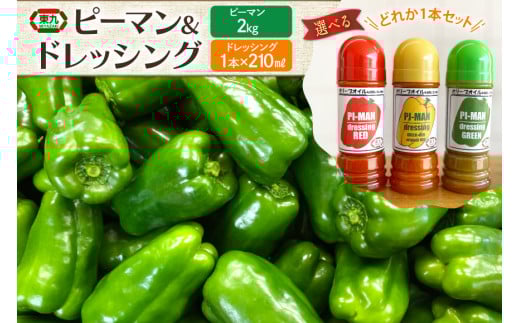 [期間限定発送] ピーマン 宮崎県産ピーマン 2kg ドレッシング 210ml 赤・黄・緑から 1本 [東九農園 宮崎県 日向市 452061217] 詰め合わせ 宮崎 パリパリ 野菜 やさい サラダ 新鮮 BBQ