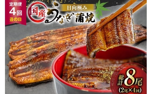 うなぎ 国産 【 丑の日 季節の定期便 】 日向極み うなぎ蒲焼 2尾 計240g [日向サンパーク 宮崎県 日向市 452061507] ギフト 小分け 真空パック 鰻 ウナギ うなぎの蒲焼 蒲焼 蒲焼き