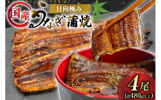 うなぎ 国産 日向極み うなぎ蒲焼 4尾 計480g以上 【たれ・山椒付き】 [日向サンパーク 宮崎県 日向市 452061501] ギフト 小分け 真空パック 鰻 ウナギ うなぎの蒲焼 蒲焼 蒲焼き
