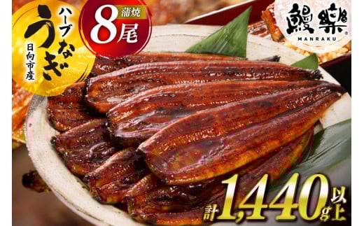宮崎県産 ハーブ うなぎ 蒲焼 8尾 計1440g 以上 タレ山椒付き [鰻楽 宮崎県 日向市 452061245] 真空パック 国産 蒲焼き 長焼き ウナギ 鰻 長蒲焼 冷凍 化粧箱入り 贈答