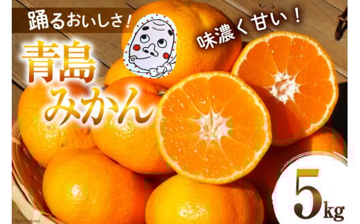 【期間限定発送】踊るおいしさ！味濃く甘い！ 青島みかん 5kg [奈須農園 宮崎県 日向市 452061478] 果物 フルーツ 柑橘 みかん ミカン