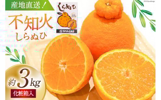 【期間限定発送】じゅわーっと甘い 不知火 約3kg（ハウス栽培・化粧箱入り） [たけちゃん農園 宮崎県 日向市 452060822] 果物 フルーツ 柑橘類