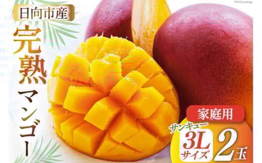 【2026年夏発送】 訳あり 宮崎 完熟 マンゴー 家庭用 3L×2玉 [宮崎県農業協同組合日向地区本部（販売課） 宮崎県 日向市 452061562] 果物 フルーツ 規格外 完熟マンゴー 甘い 日向 期間限定 冷蔵 サンキュー3Ｌパック