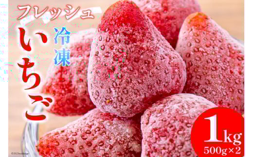 【訳あり】 果物 フレッシュ 完熟 冷凍いちご 500g×2袋 計1kg [亀の子いちご園 宮崎県 日向市 452060853] フルーツ 苺 イチゴ 完熟 新鮮 国産