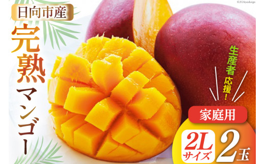 【2026年夏発送】「生産者応援・数量限定」 宮崎 完熟 マンゴー 2L×2玉 (家庭用) [宮崎県農業協同組合日向地区本部（販売課） 宮崎県 日向市 452061563] 果物 フルーツ 規格外 訳あり 完熟マンゴー 甘い 日向 期間限定 冷蔵