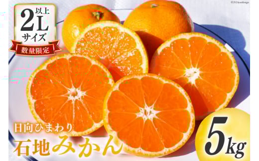 【期間限定発送】 みかん 2L サイズ以上 石地みかん 5kg [ひまわり農園 宮崎県 日向市 452061494] ミカン 柑橘 フルーツ 果物 数量限定