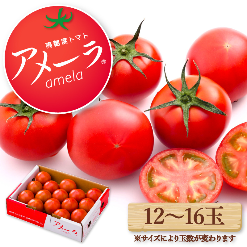 [2025年12月配送] アメーラ トマト 12-16玉 高糖度 7.5以上 化粧箱入り 産地 直送 新鮮 旬の 野菜 高級 フルーツトマト 甘い ふるさとおすすめ