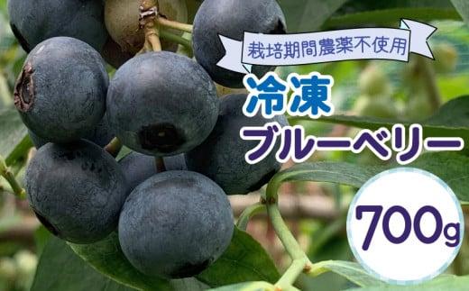 [令和6年7月下旬より順次発送] 冷凍 フ?ルーヘ?リー 700g ご家庭用 フルーツ ベリー 甘い くだもの 果物 農家直送 産地直送 冷凍フルーツ さんかく山の里 大塚園 静岡県 藤枝市