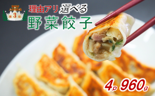 【訳あり】冷凍野菜餃子:4パック