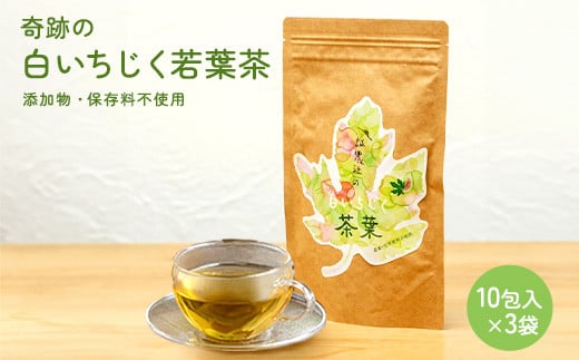 白いちじく茶（３袋）/農薬・化学肥料不使用/ファーストフラッシュ