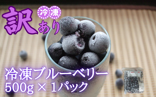 【訳あり】シルクファーム産 冷凍ブルーベリー 500g